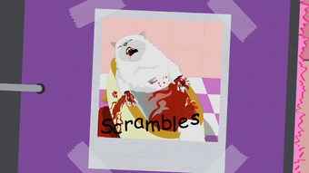 List Of Paris Hilton S Pets South Park Archives Fandom