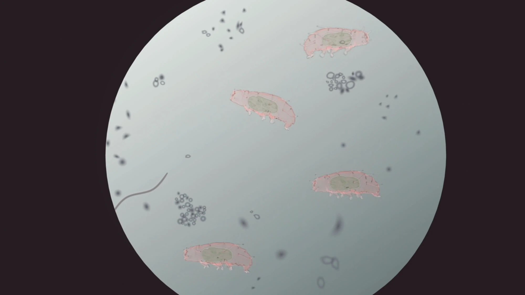 Water Bears South Park Archives Fandom