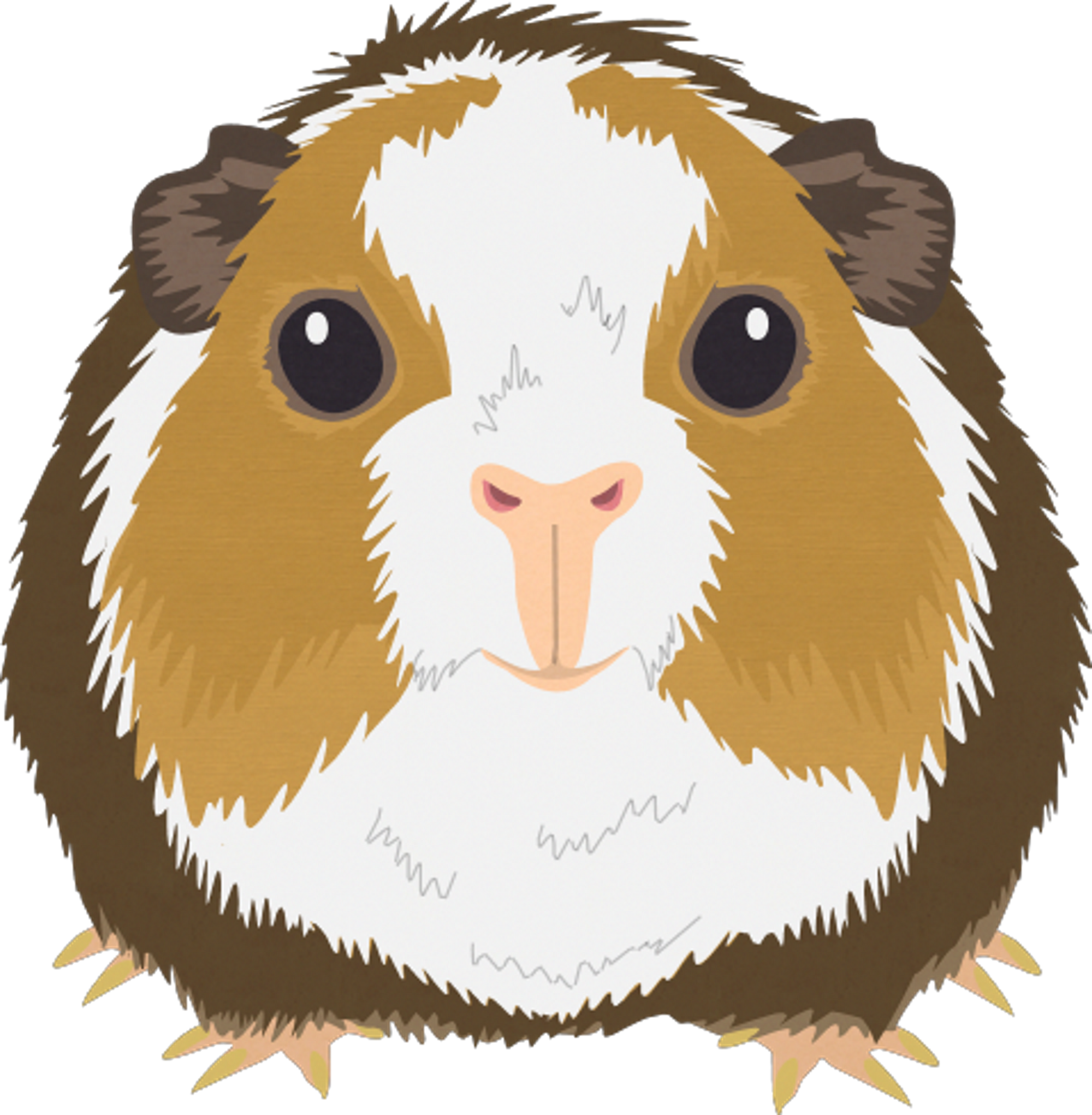 Stripe South Park Archives FANDOM powered by Wikia