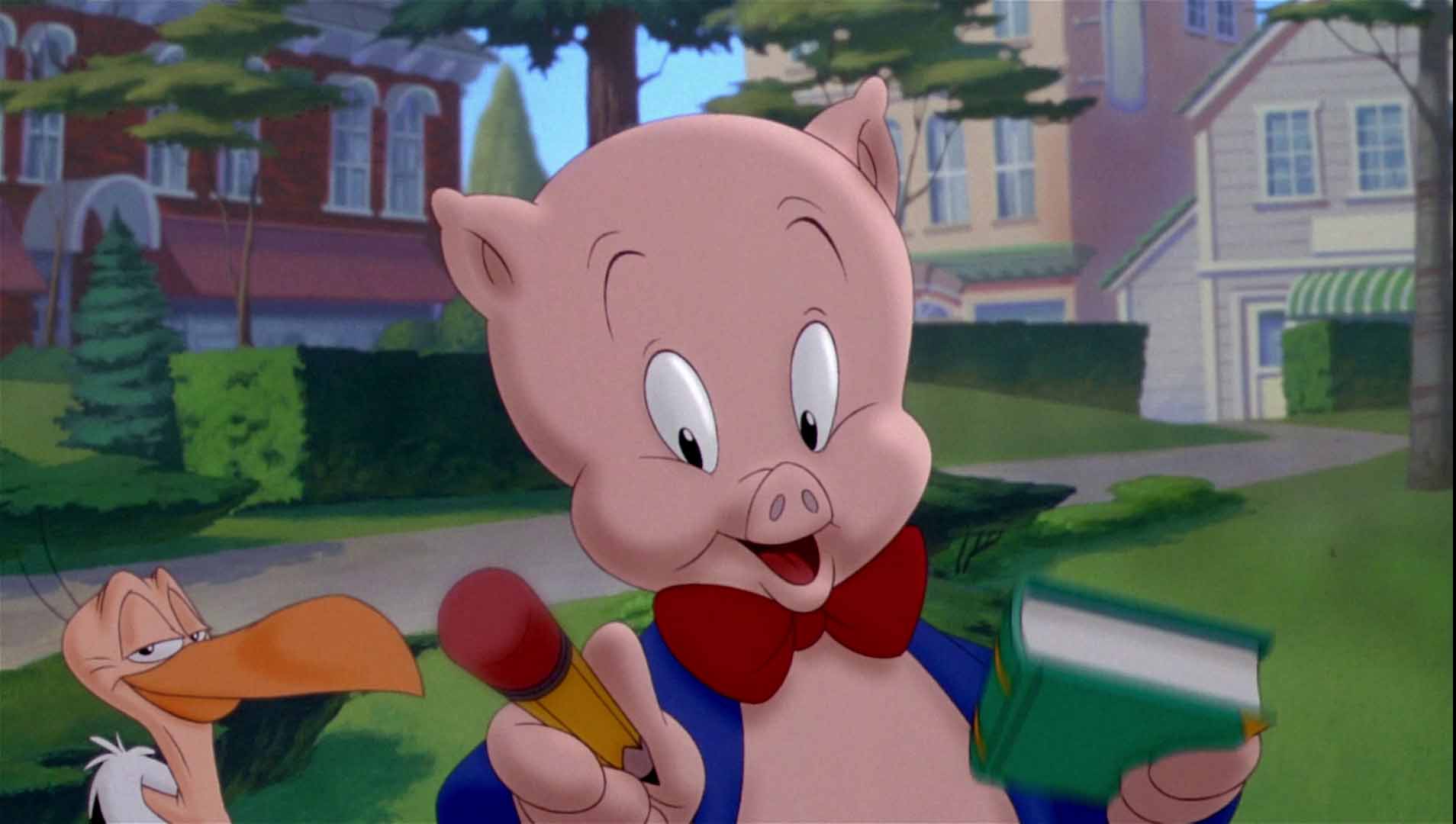 SpacePig