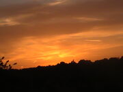 PIC 0506