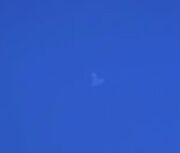 First Signs
