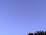 PIC 0505