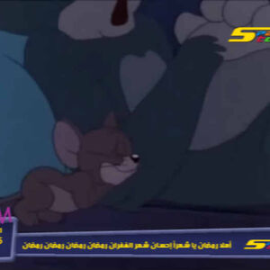 Spacetoon Maroc Spacetoon Wiki Fandom