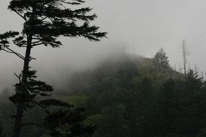 DSC 0025