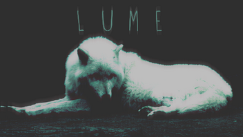 Lume