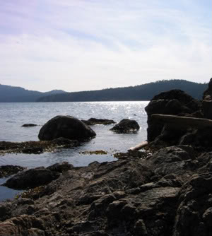 Orcas