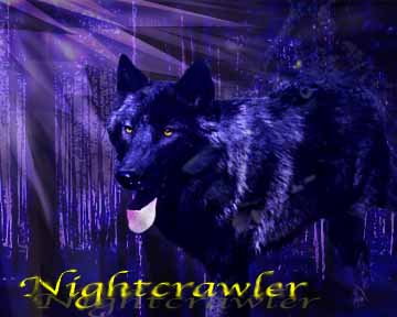 Nightcrawler
