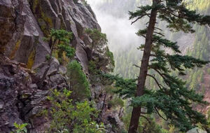 Canyon-1