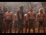 Spartacus & Crixus
