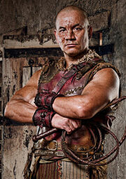 Doctore (title) | Spartacus Wiki | Fandom