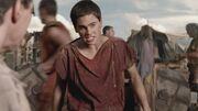 Spartacus3x05 0104
