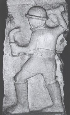 Dimachaerus