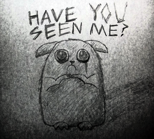 Haveyouseenme