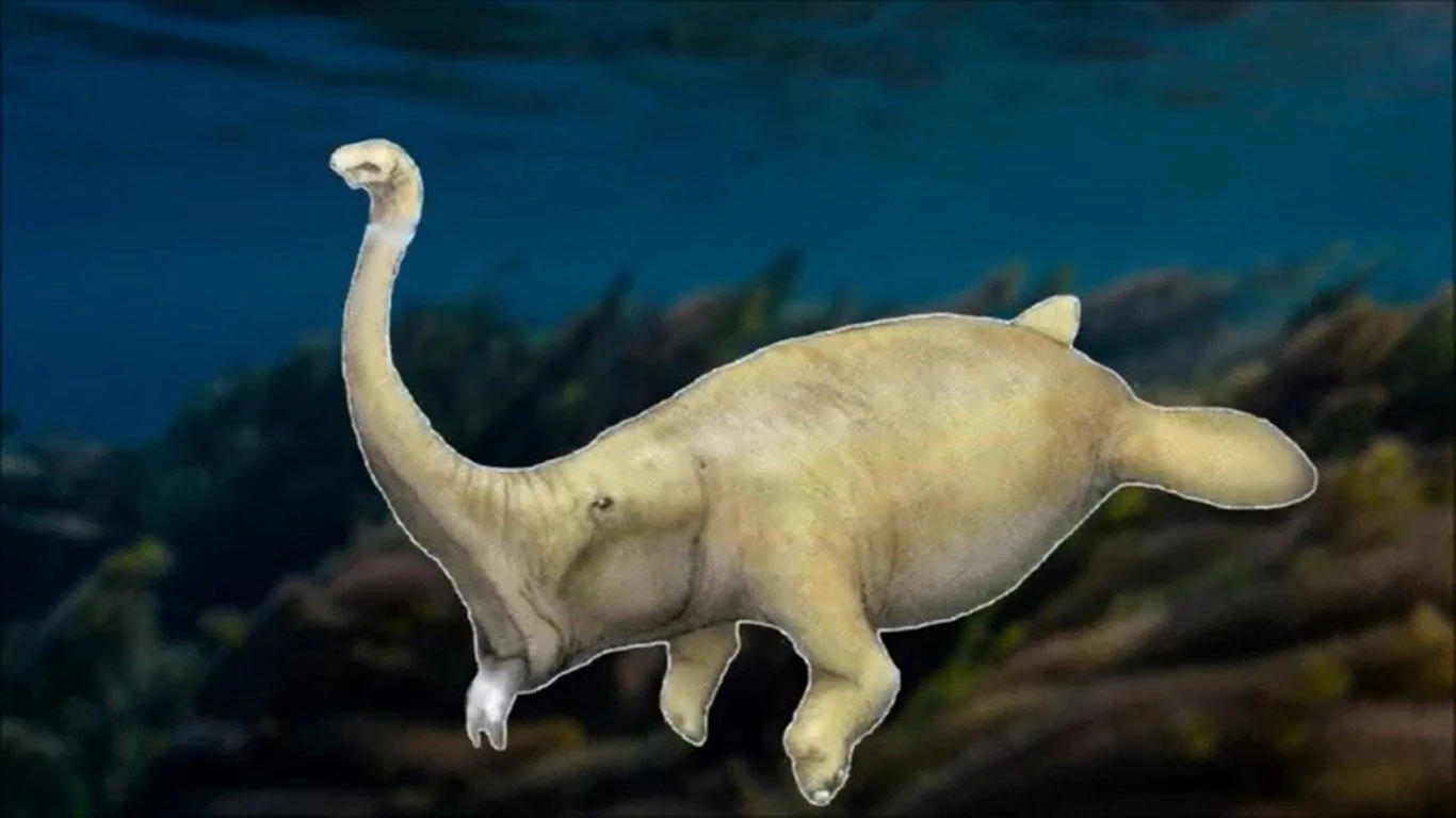 Manaphant Speculative Evolution Wiki Fandom