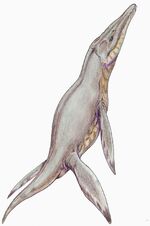 Pliosaurus