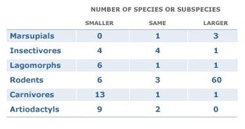 Islandsizes