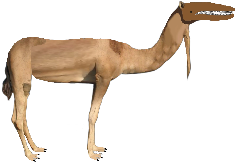 Flamingo (Project Mammalia) Speculative Evolution Wiki Fandom