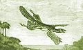 Wiliam Beebe's Tetrapteryx