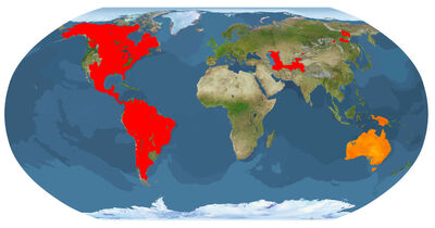 Tyrannosaur Distribution WitAM