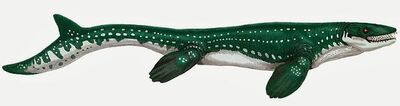 Lizard-whale