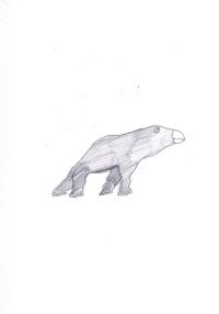 Chalicotreme