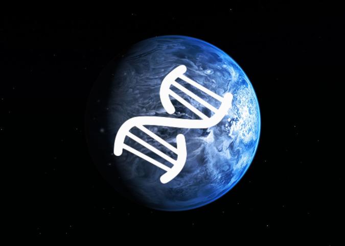Animula-Logo