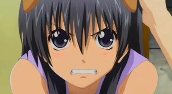 Download Journey Dog Special A Wiki Fandom Desktop Wallpaper Get Wallpaper Journey Dog Special A Wiki Fandom For Free