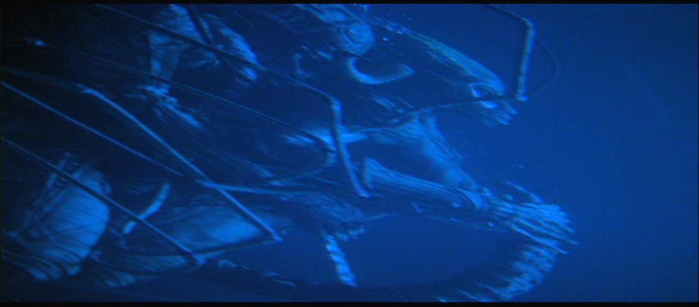 Category:Content | Species Wiki | Fandom
