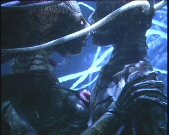 Unnamed Alien Species Species Wiki Fandom