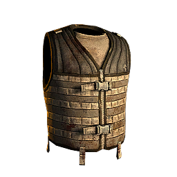 PALS Vest