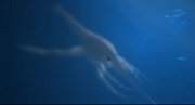 Sword Silverswimmer real
