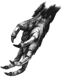 Crackbeak 3