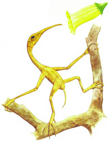 the new dinosaurs an alternative evolution