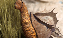 Desert hopper