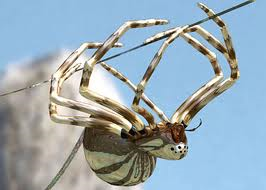 Silver spider
