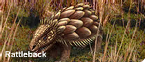 South american rattleback