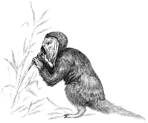Taddey feeding