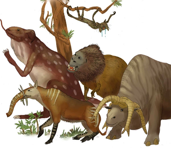 Image AfterManDixonmontagecoloured600pxtinyApril2014Darren