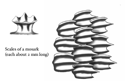 Moscale