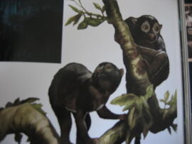 SkullIslandsWildife034