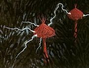 Ectrophytes