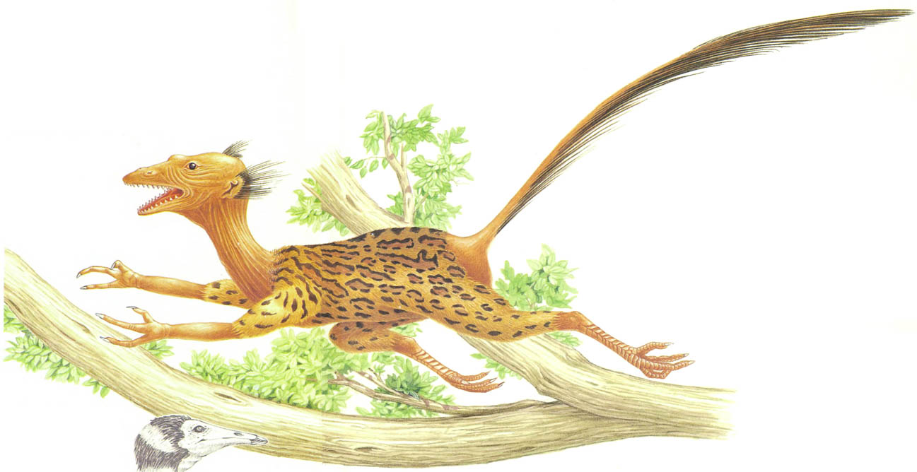 the new dinosaurs an alternative evolution