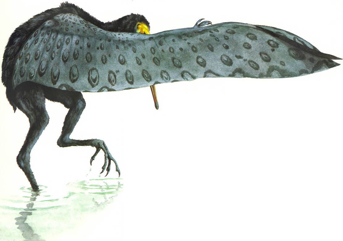 speculative evolution dinosaurs