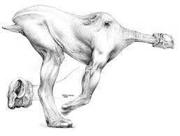 Gyrosprinter study
