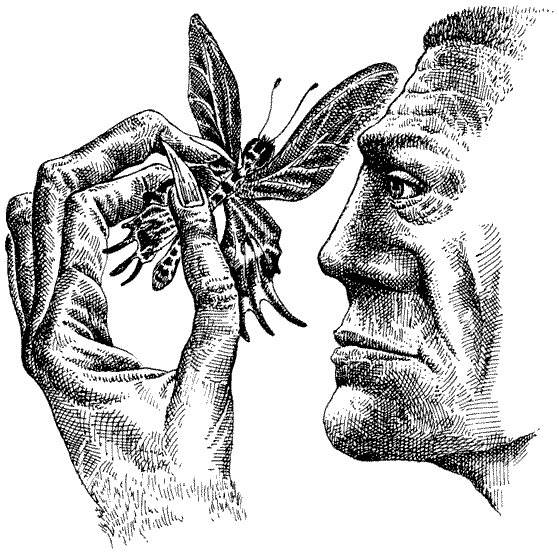 tropical forest dweller speculative evolution wiki fandom free flyers with forest dwellers