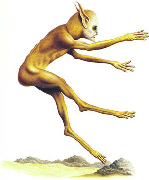 Desert runner
