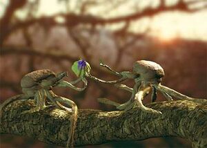 Squibbons sharing