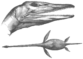 Birdsnatcher 2