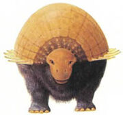 Taranter front